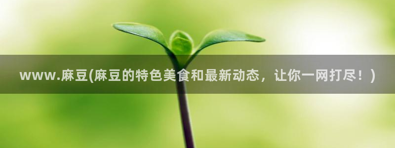 麻豆国色专区：www.麻豆(麻豆的特色美食和最新动态，让你一