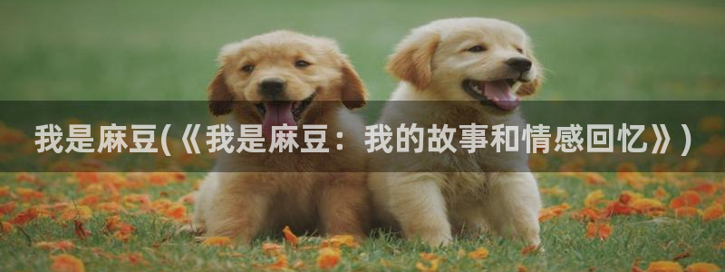 麻豆国产av专区