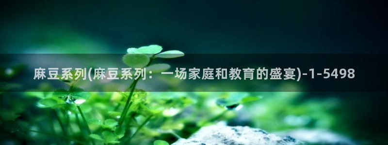 麻豆国产av专区