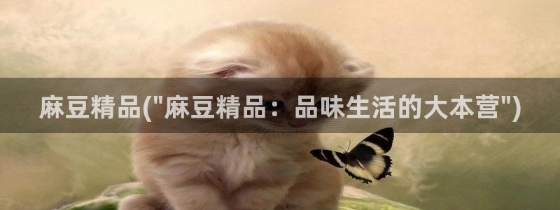 亚洲麻豆专区：麻豆精品(\