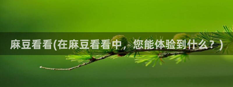 一级专区麻豆专区三级