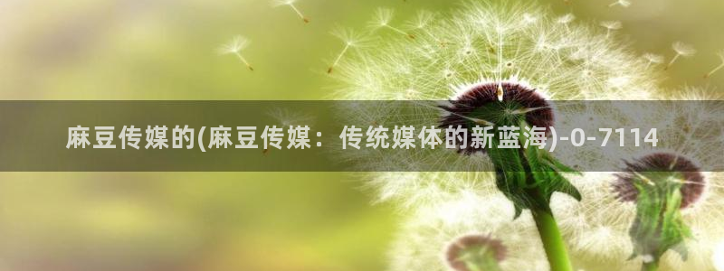 精品麻豆：麻豆传媒的(麻豆传媒：传统媒体的新蓝海)