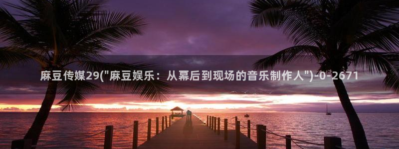 麻豆专区二：麻豆传媒29(\