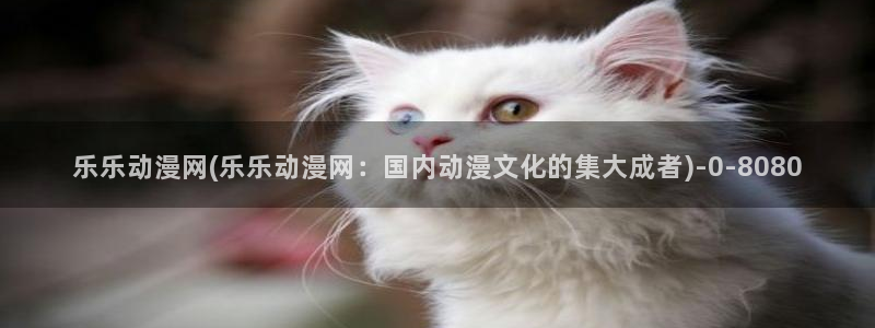 黑兽动漫：乐乐动漫网(乐乐动漫网：国内动漫文化的集大成者)
