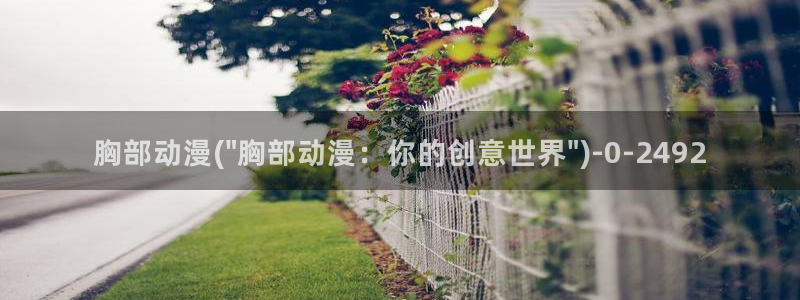 xl上司动漫
