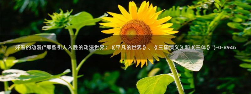 动漫台词